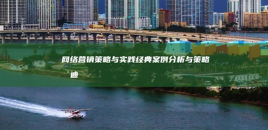 网络营销策略与实践：经典案例分析与策略启迪